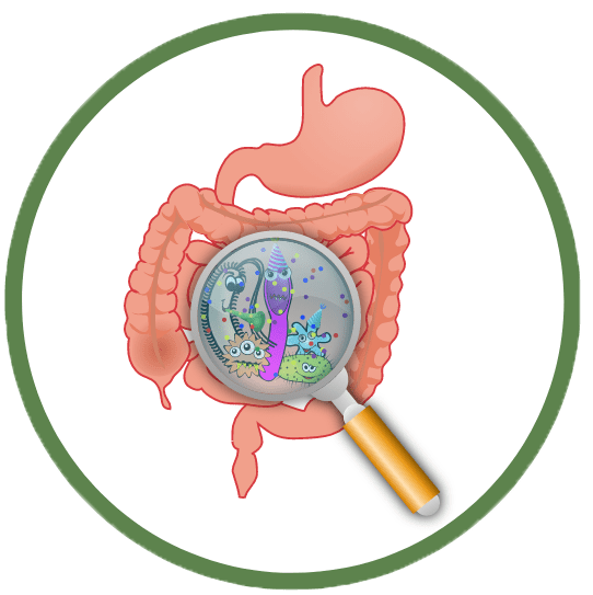 flora intestinal dañada